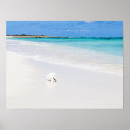 Póster Islas Turcas y Caicos