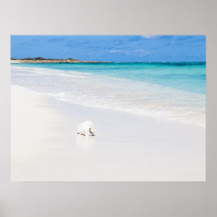 Póster Islas Turcas y Caicos