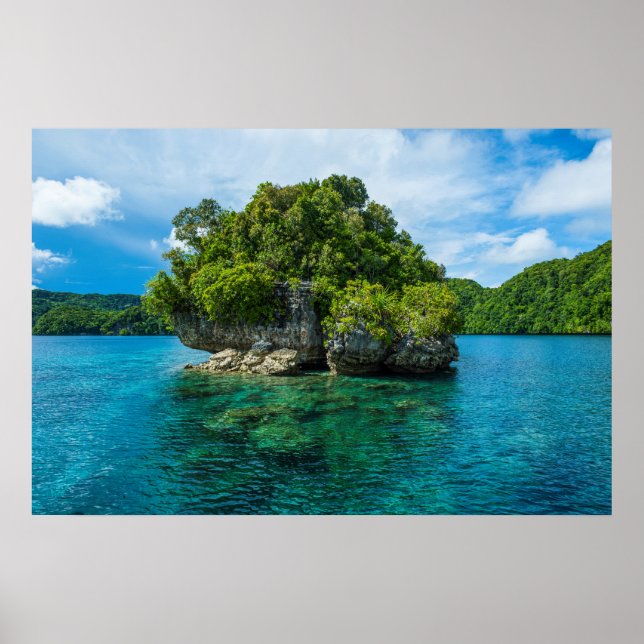 Póster Islote rocoso en las Islas Roca (Frente)