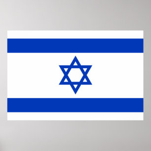 Póster Israel flag