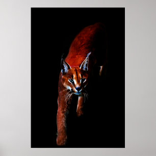 Póster It Got Me