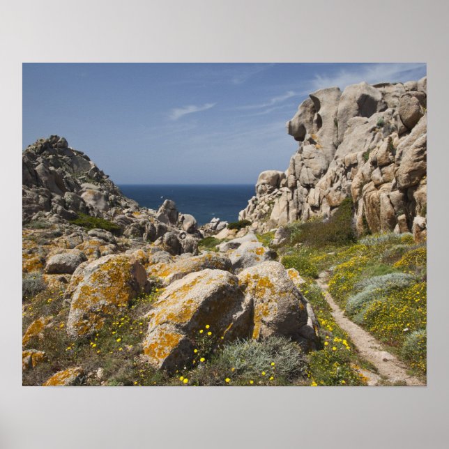Póster Italia, Cerdeña, Santa Teresa Gallura. Capo 2 (Frente)