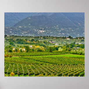 Póster Italia, Lago de Garda. Las orillas del lago de Gar
