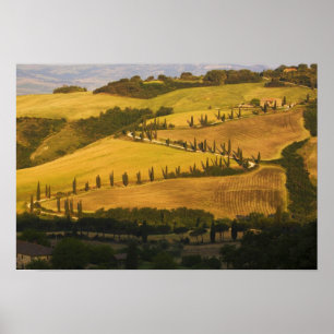 Póster Italia, Toscana, carretera ZigZag en la Toscana.