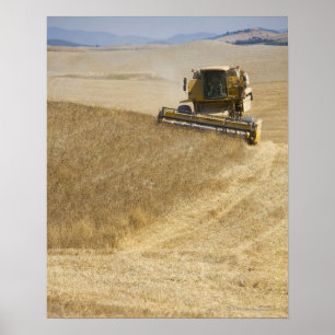 Póster Italia. Toscana. Montalcino 4