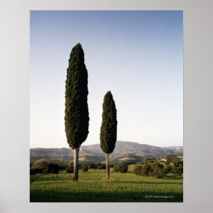 Póster Italia, Toscana, Val d'Orcia