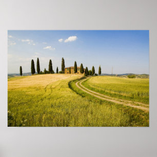 Póster Italia, Toscana, Villa toscana cerca de la cosecha