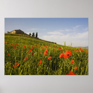 Póster Italia, Toscana, Villa toscana en primavera con