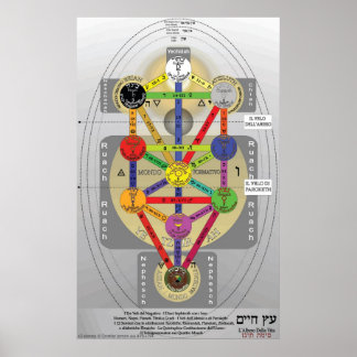 Póster Italiano del árbol de la vida