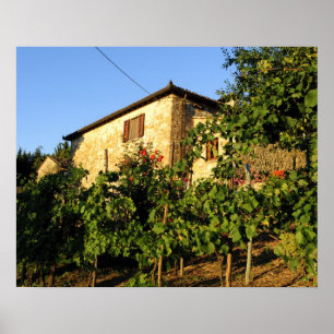Póster Italy, Tuscany, Greve. Late summer wine scenes