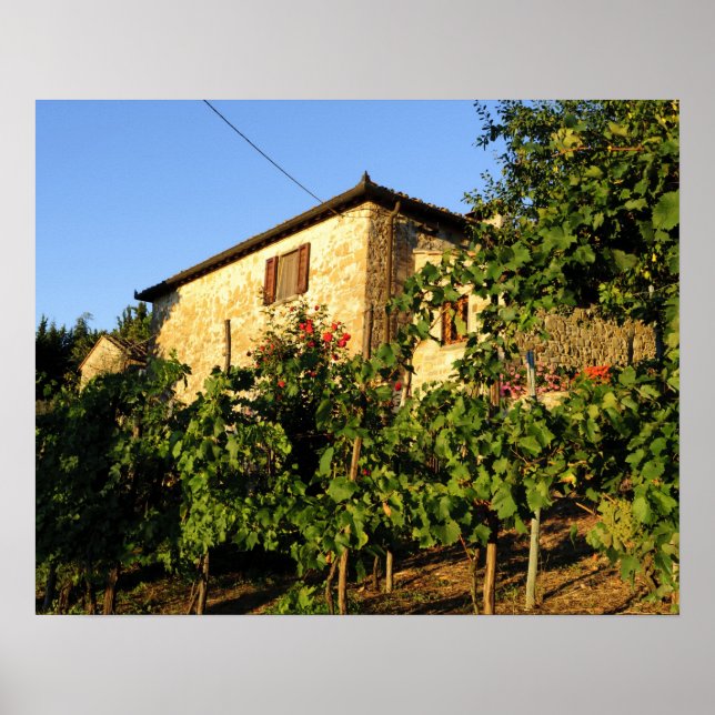Póster Italy, Tuscany, Greve. Late summer wine scenes (Frente)