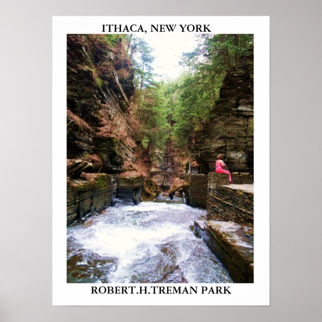 Póster ITHACA, NEW YORK, ROBERT.H.TREMAN PARK poster (Frente)