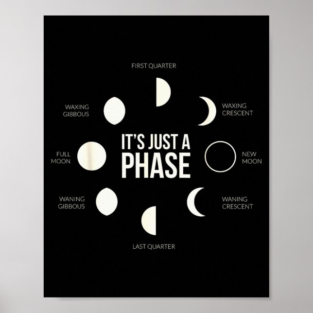 Póster It's Just A Phase Lunar Phases New Moon Earth Hemi (Frente)
