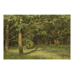 Póster Ivan Shiskin El Compensación Forestal CC0350