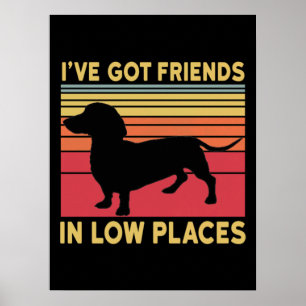 Póster Ive got friends in low places