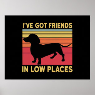 Póster Ive got friends in low places
