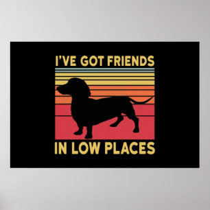 Póster Ive got friends in low places