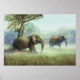 Póster Ivory Mist