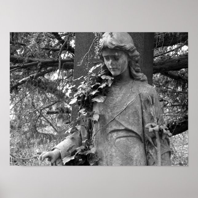 Póster Ivy (Frente)