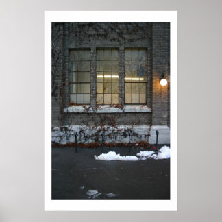 Póster Ivy and Lights