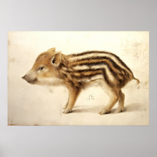 Póster JABALÍ LECHÓN / Dibujos de Animales