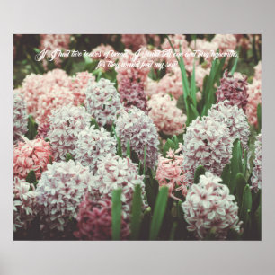 Póster Jacinto rosa y púrpura en el jardín de primavera