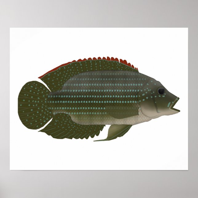 Póster Jack Dempsey (Frente)