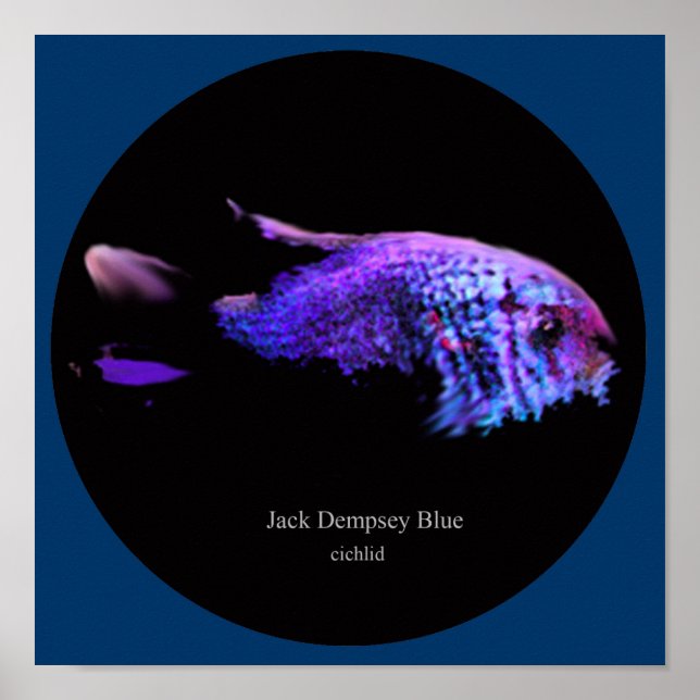 Póster Jack dempsey blue (Frente)