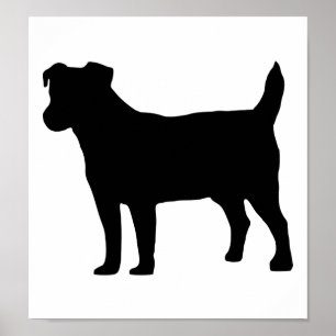 Póster Jack russel