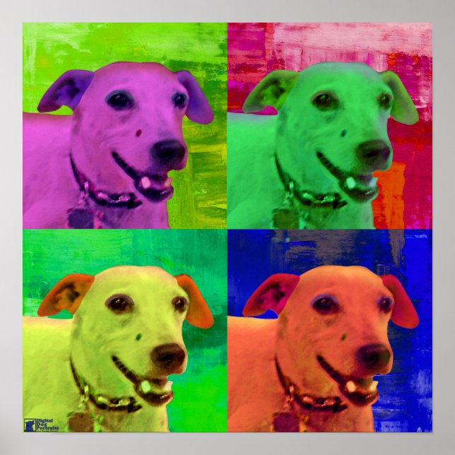 Póster Jack Russel Terrier Pop Art (Frente)