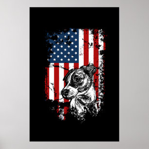 Póster Jack Russell