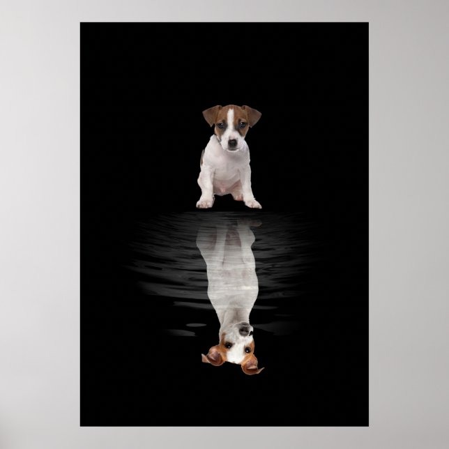 Póster Jack Russell Love Cute Jack Russell (Frente)