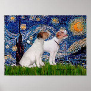 Póster Jack Russell Pair 4 - Noche Starry