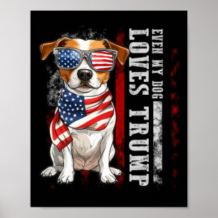 Póster Jack Russell Terrier Hasta Mi Perro Ama A Trump Gr