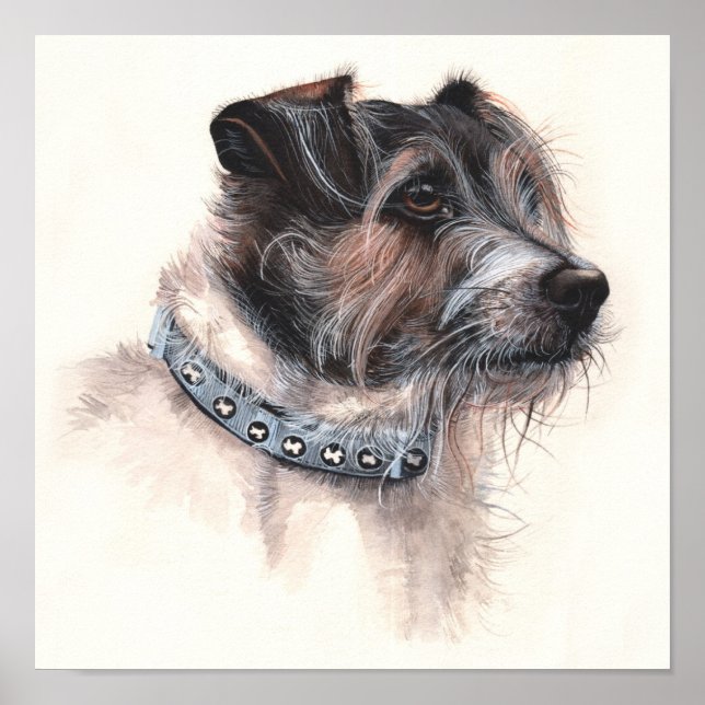 Póster Jack Russell Terrier pintado en acuarela (Frente)