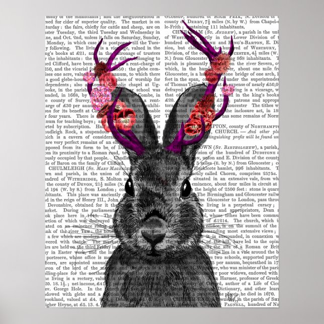 Póster Jackalope con anclas rosas (Frente)