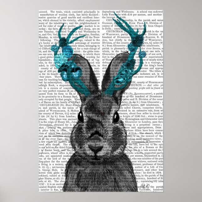 Póster Jackalope con las Antillas Turquesas (Frente)