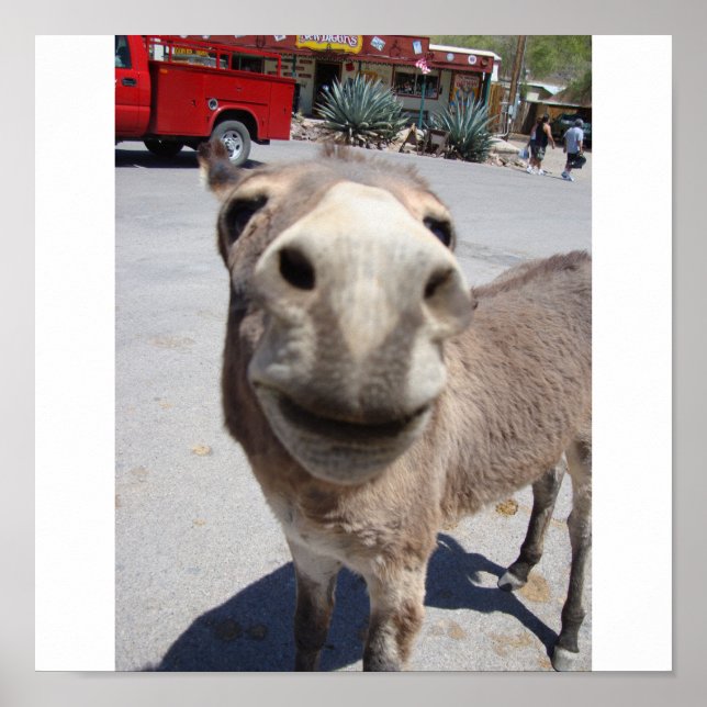 Póster Jackass 002 (Frente)