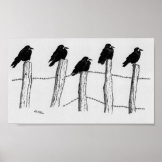Póster Jackdaws