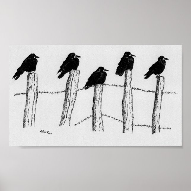 Póster Jackdaws (Frente)