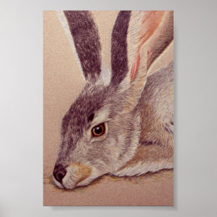 Póster Jackrabbit