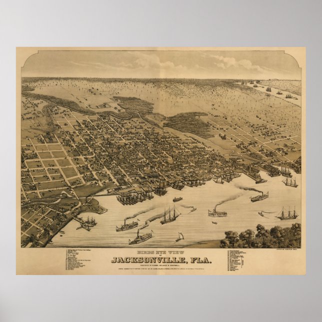 Póster Jacksonville, mapa de aves FL, Circe 1874 (Frente)