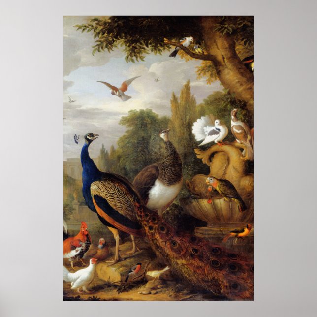 Póster Jacob Bogdani Peacock Peahen perfila canario (Frente)