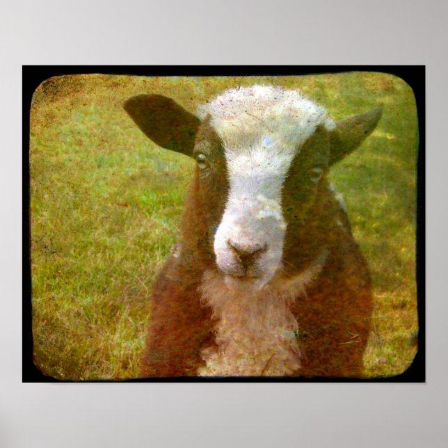 Póster Jacob Lamb (Frente)