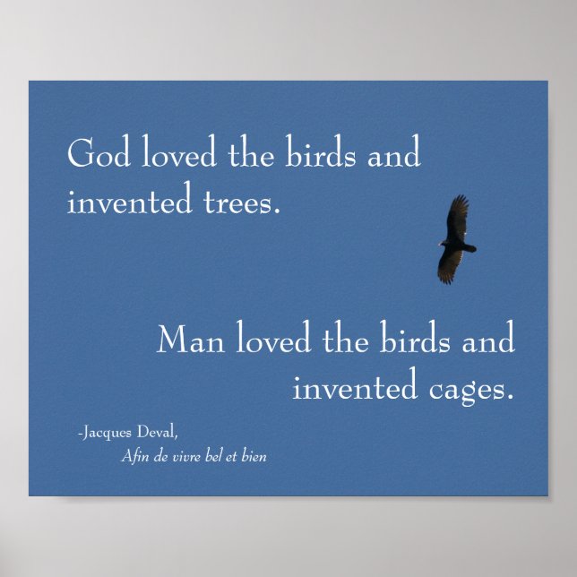 Póster Jacques Deval Bird Poster (Frente)