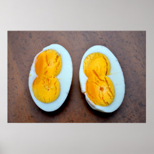 Póster jactado huevo de gallina con dos yema,