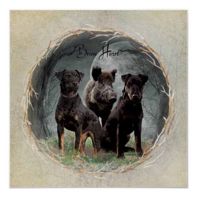 Póster Jagdterrier, valiente corazón tapiz (Anverso)
