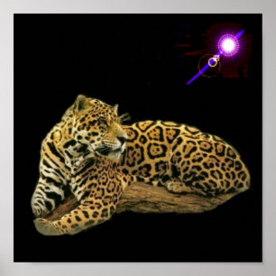 Póster Jaguar