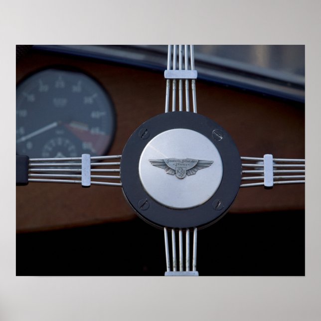 Póster jaguar antiguo 3 (Frente)