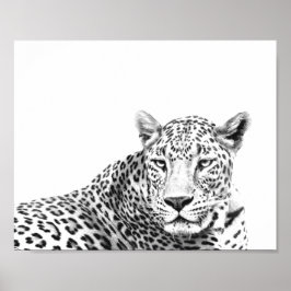 Póster Jaguar blanco y negro moderno de 10 x 8 pulgadas